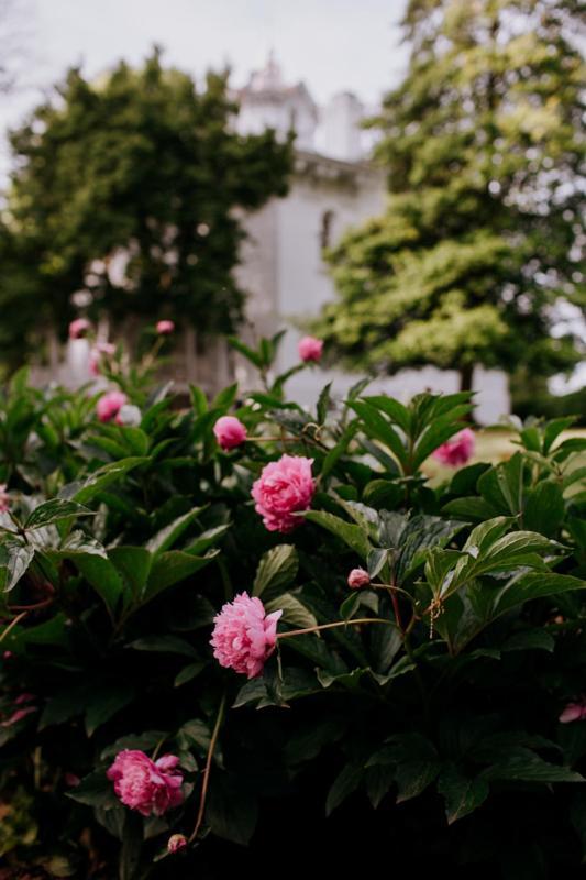 Mayhurst Estate Orange エクステリア 写真