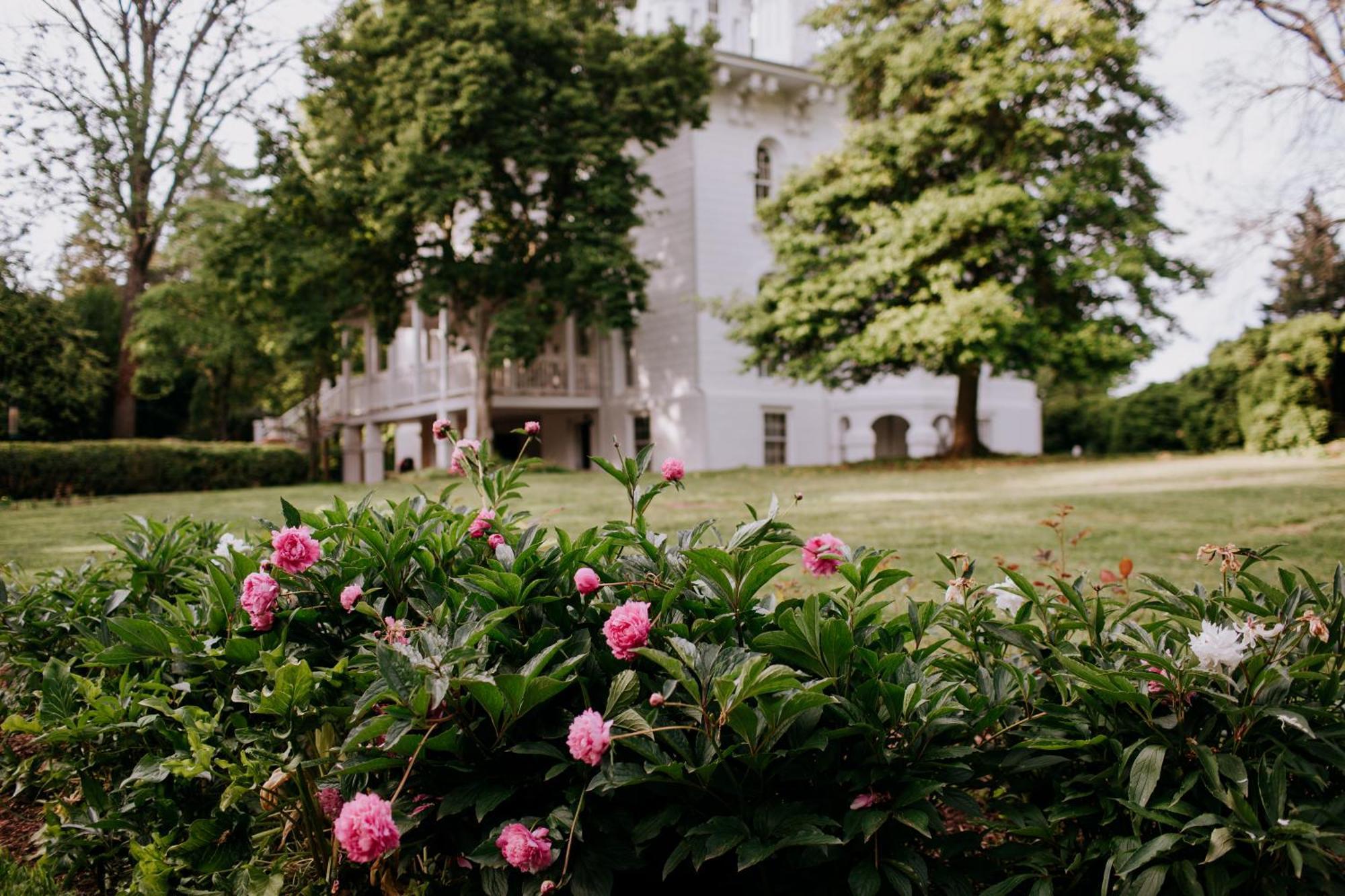 Mayhurst Estate Orange エクステリア 写真