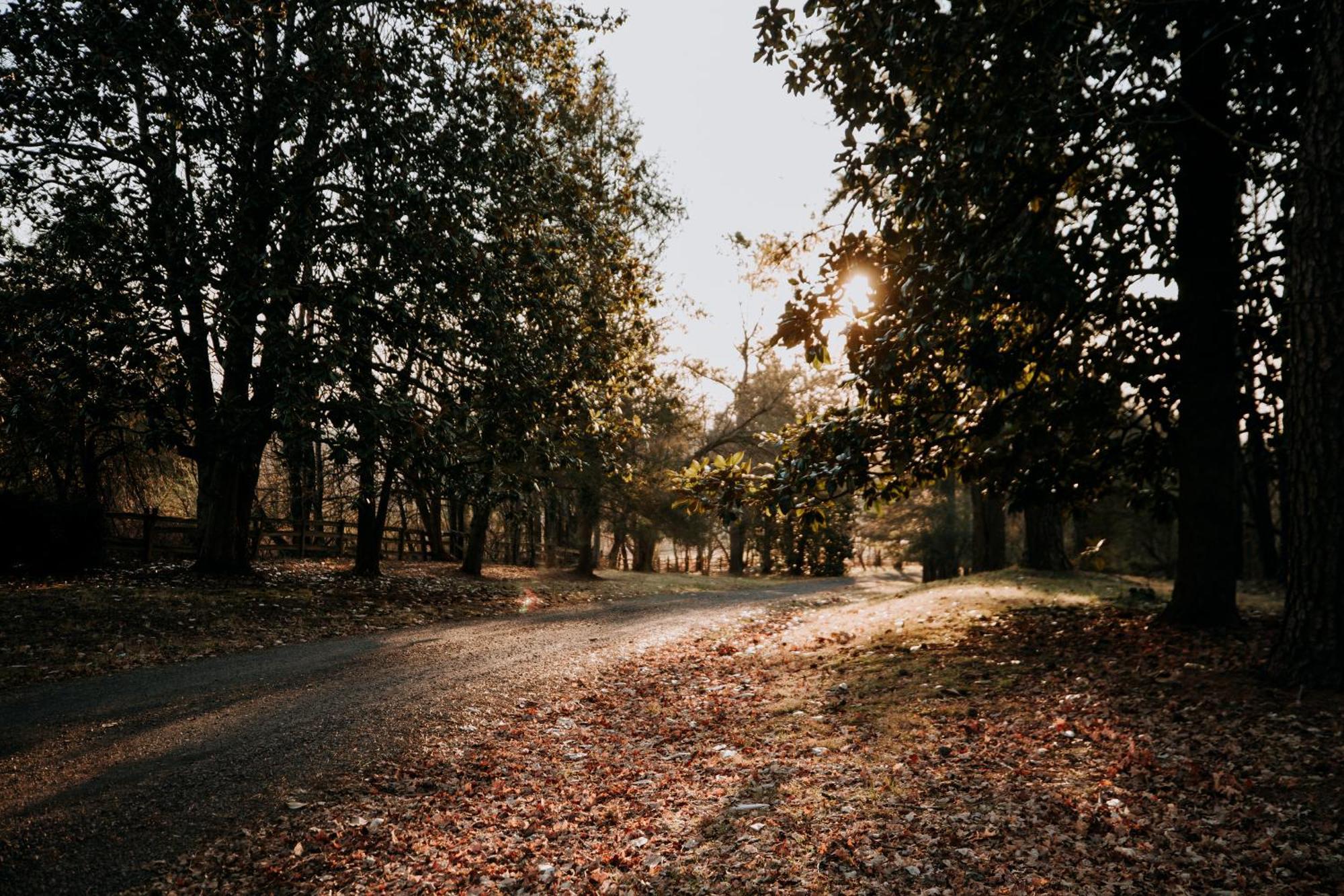 Mayhurst Estate Orange エクステリア 写真